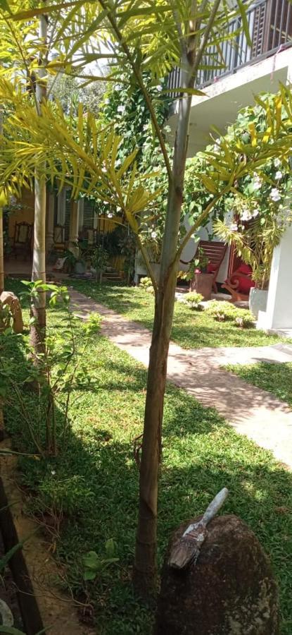 Mandara Rest Bed and Breakfast Hikkaduwa Εξωτερικό φωτογραφία