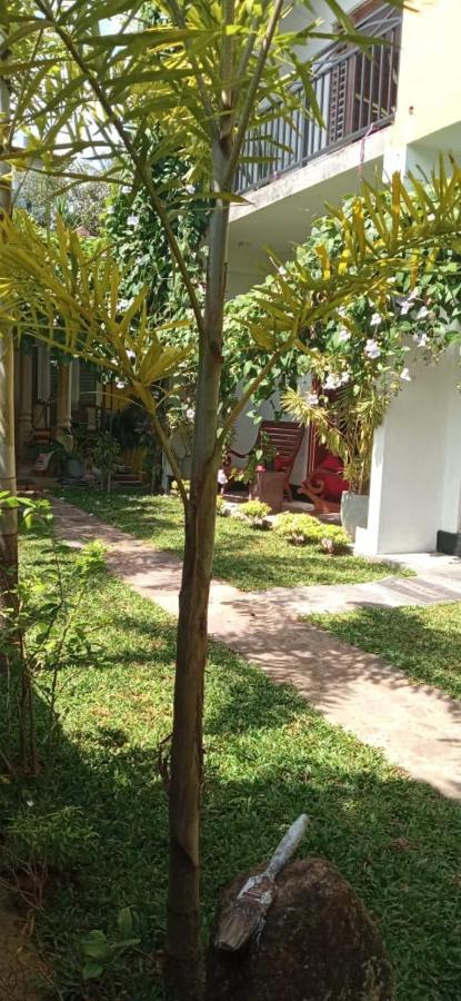 Mandara Rest Bed and Breakfast Hikkaduwa Εξωτερικό φωτογραφία