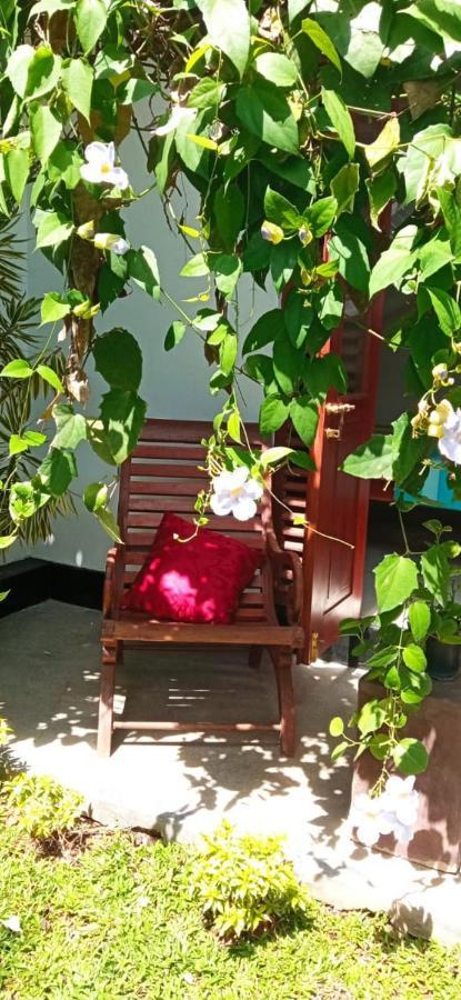 Mandara Rest Bed and Breakfast Hikkaduwa Εξωτερικό φωτογραφία