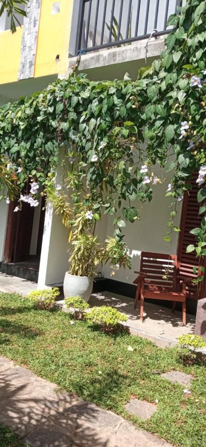 Mandara Rest Bed and Breakfast Hikkaduwa Εξωτερικό φωτογραφία