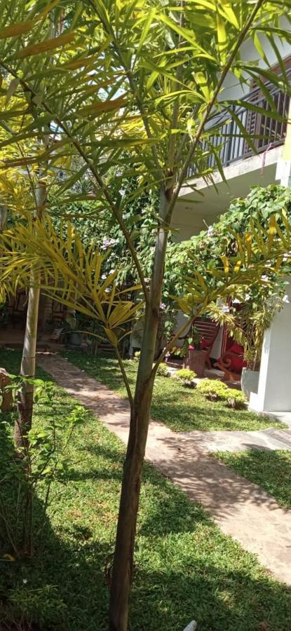 Mandara Rest Bed and Breakfast Hikkaduwa Εξωτερικό φωτογραφία