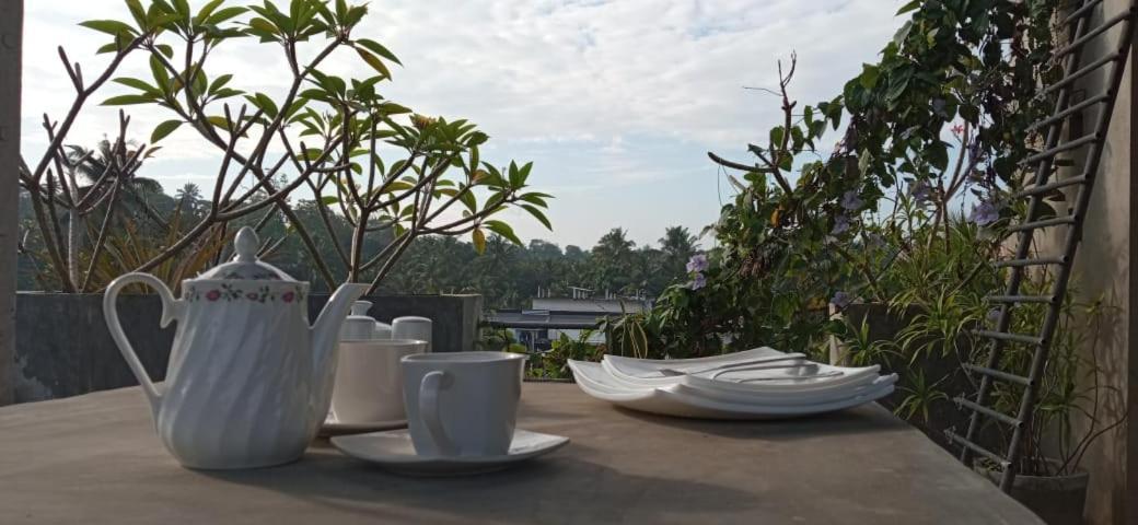Mandara Rest Bed and Breakfast Hikkaduwa Εξωτερικό φωτογραφία