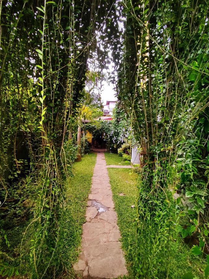 Mandara Rest Bed and Breakfast Hikkaduwa Εξωτερικό φωτογραφία